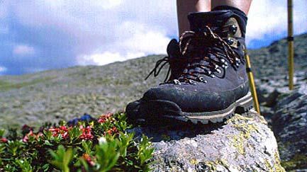 Hiking holidays