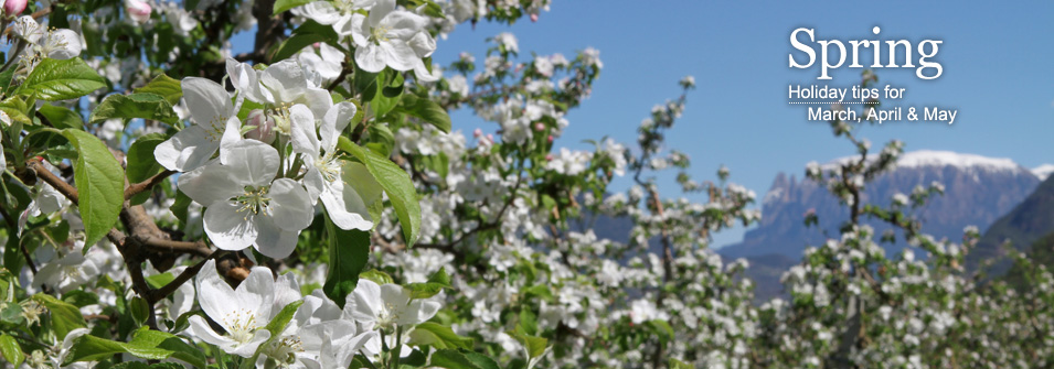 Spring