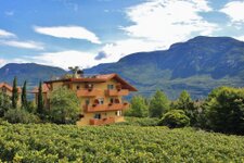 Albergo Hotel Terzer