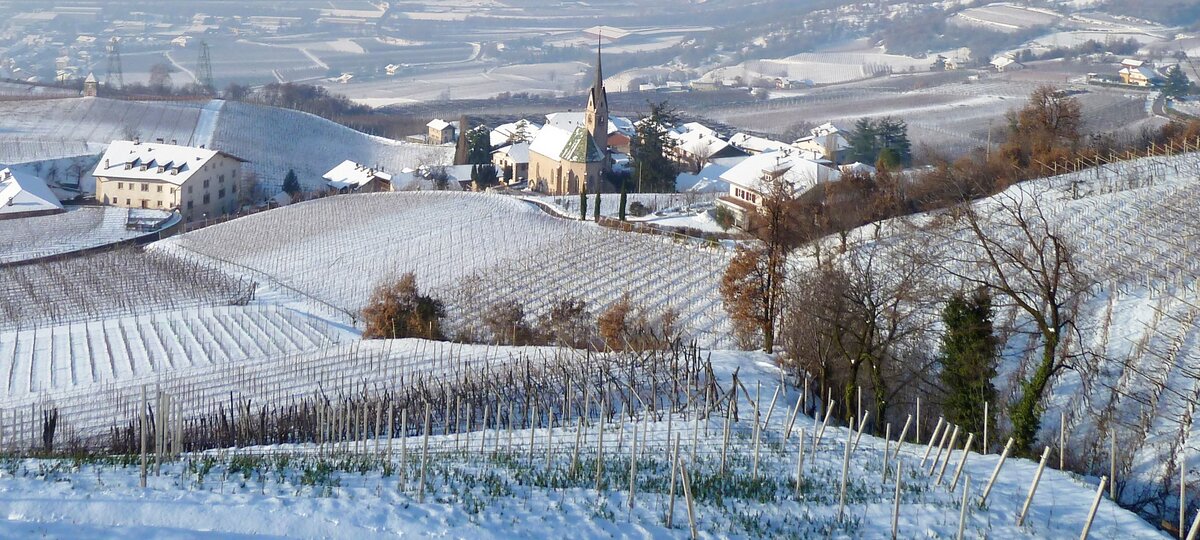 RS winter suedtiroler weinstrasse bei montan pinzon