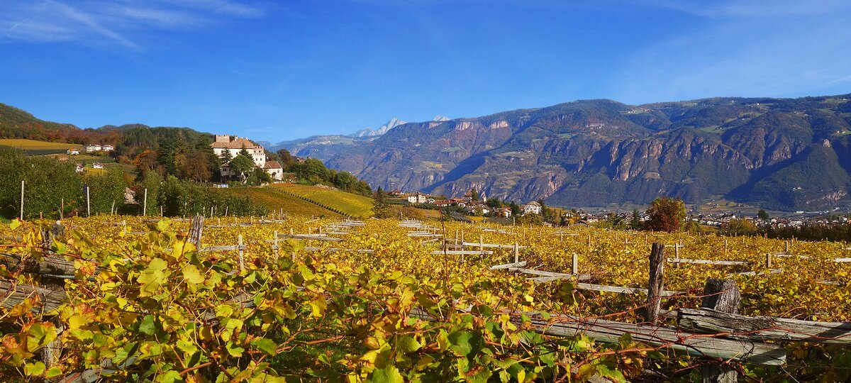 header weinstrasse herbst eppan berg weinberge blick richtung freudenstein herbst